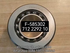 Automotive Differential Bearings