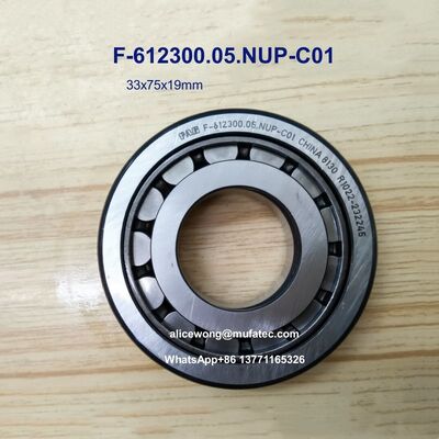 F-612300.05.NUP-C01 33x75x19mm Buick CVT Gearbox Automotive Automatic Transmission