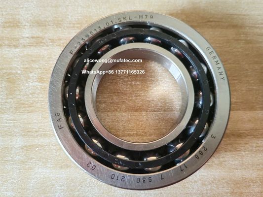 F-239513.01.SKL-H79 BMW differential side bearing double row angular contact ball bearing 41*78*17.5mm
